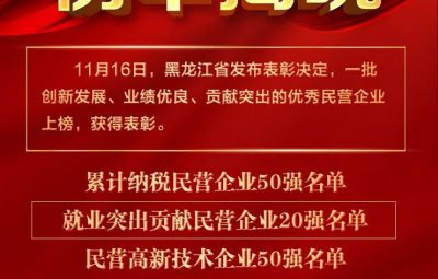 喜報|龍江表彰優(yōu)秀民營企業(yè) 寶泰隆收獲兩項殊榮